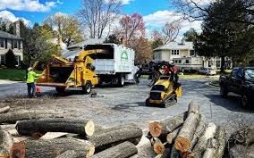 Best Emergency Tree Removal  in Brewster, OH